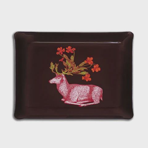 Acrylic Tray