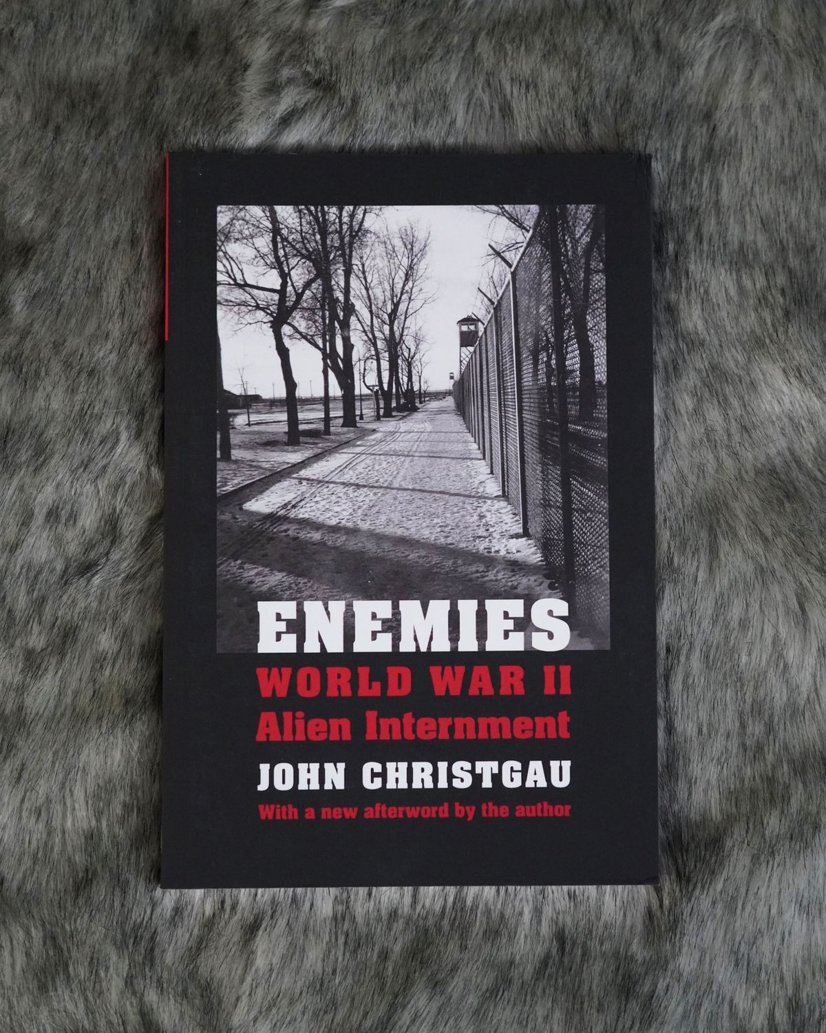 ENEMIES: WWII ALIEN INTERNMENT, J.Christgau