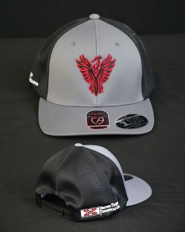 C/C THUNDERBIRD SNAPBACK