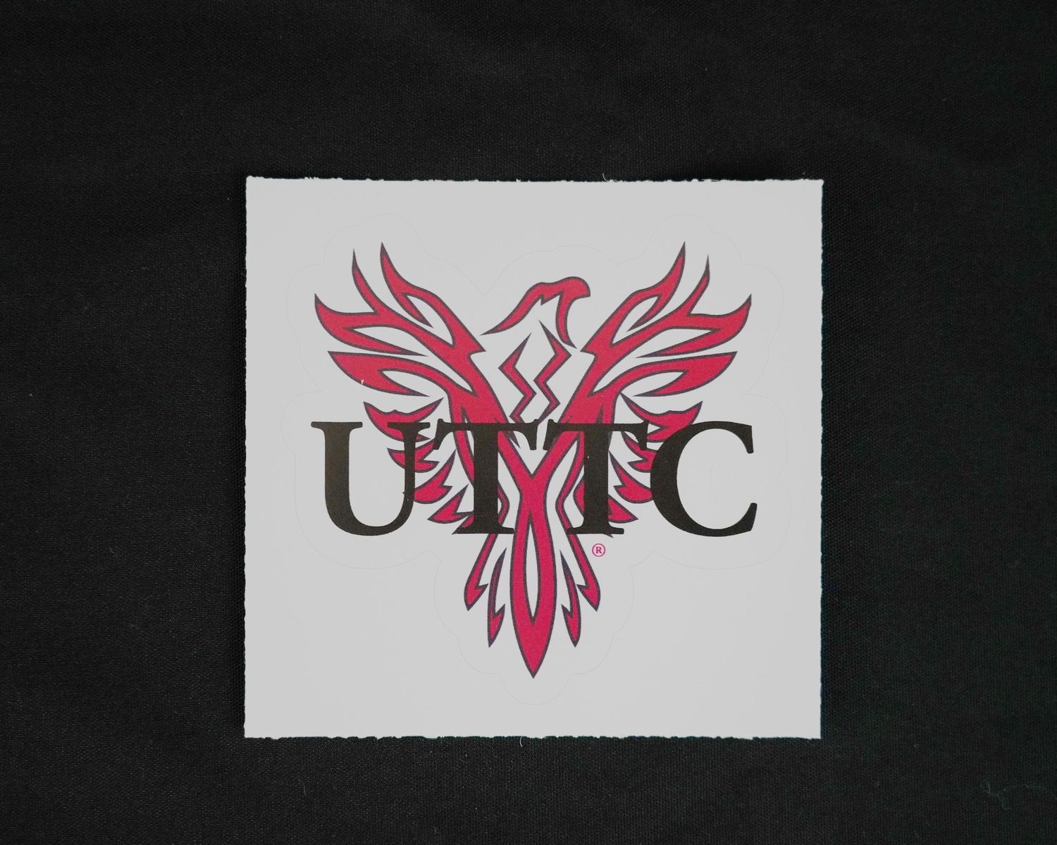 4IM UTTC TBIRD STICKER