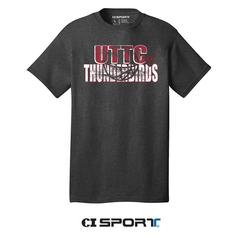 THUNDERBIRDS COMPLETION BBALL TEE