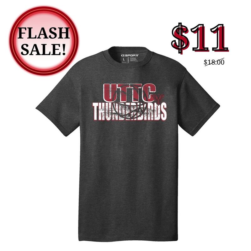 THUNDERBIRDS COMPLETION BBALL TEE