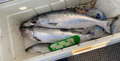 LAKE TROUT AND SALMON FISHING