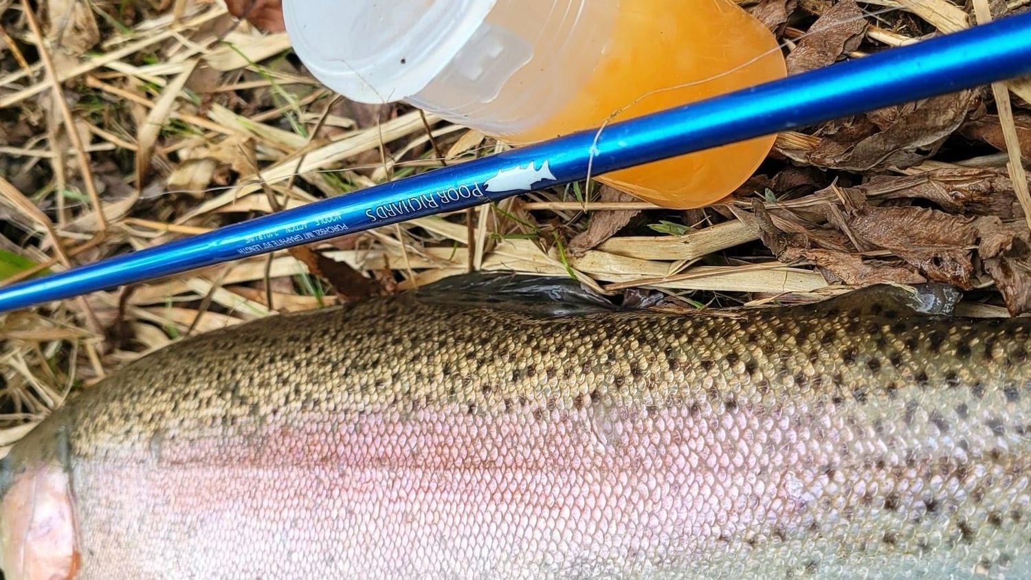 POOR RICHARDS NOODLE ROD COMBO SALE