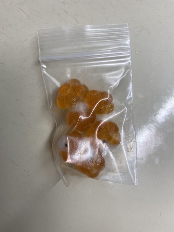 EGG SACKS