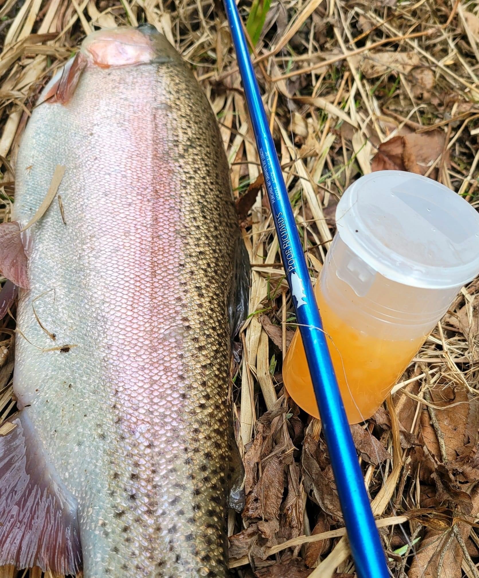 Store - Poor Richards