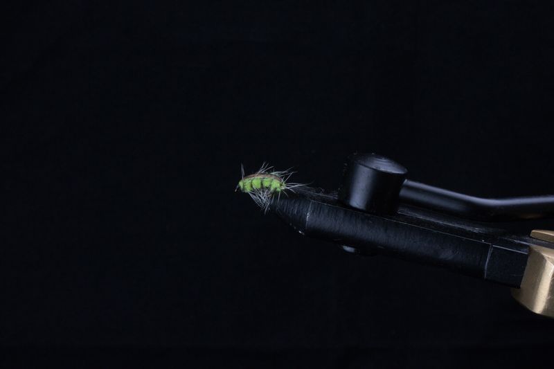 SPRING WIGGLER FLIES