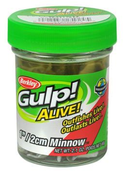 GULP ALIVE 1" MINNOW
