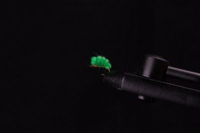 SUCKER SPAWN FLIES