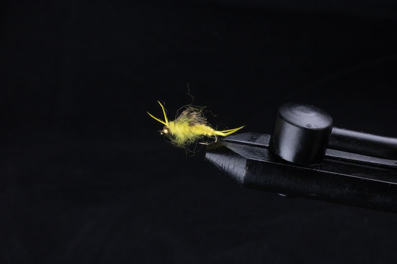 BEAD HEAD STONE FLY FLIES