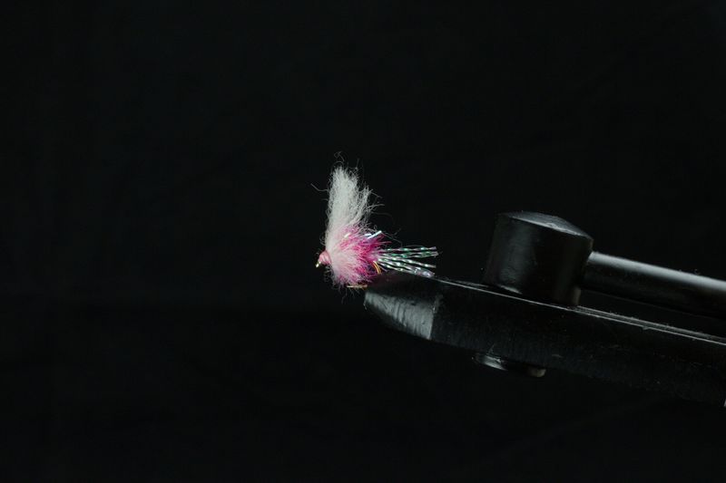 ESTAZ EGGS WITH VEIL FLIES