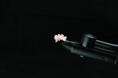 CRYSTAL METH SUCKER SPAWN FLIES