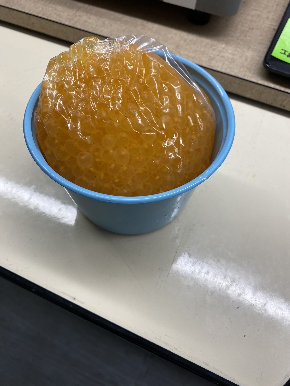 Bulk Salmon Eggs