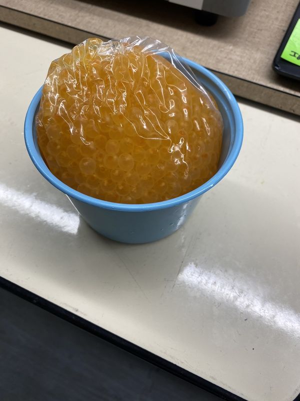 Bulk Salmon Eggs