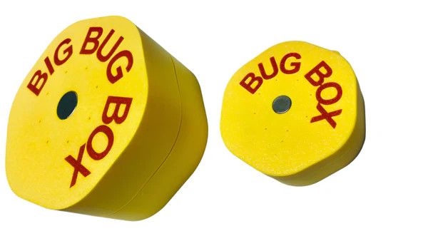 BIG BUG BOX