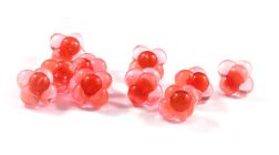 CLEARDRIFT EMBRYO EGG CLUSTERS- MEDIUM