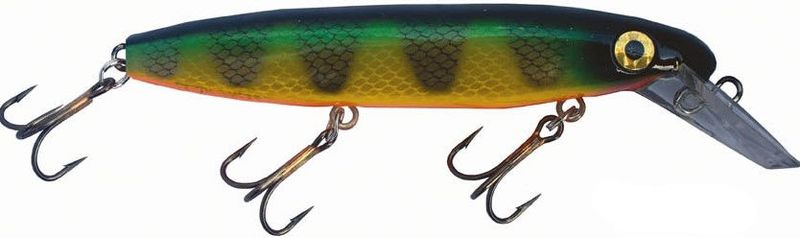 JOE BUCHER DEPTH RAIDER 8"" NATURAL PERCH"