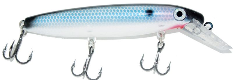 JOE BUCHER DEPTH RAIDER 8"" BLUE BACK SHAD"