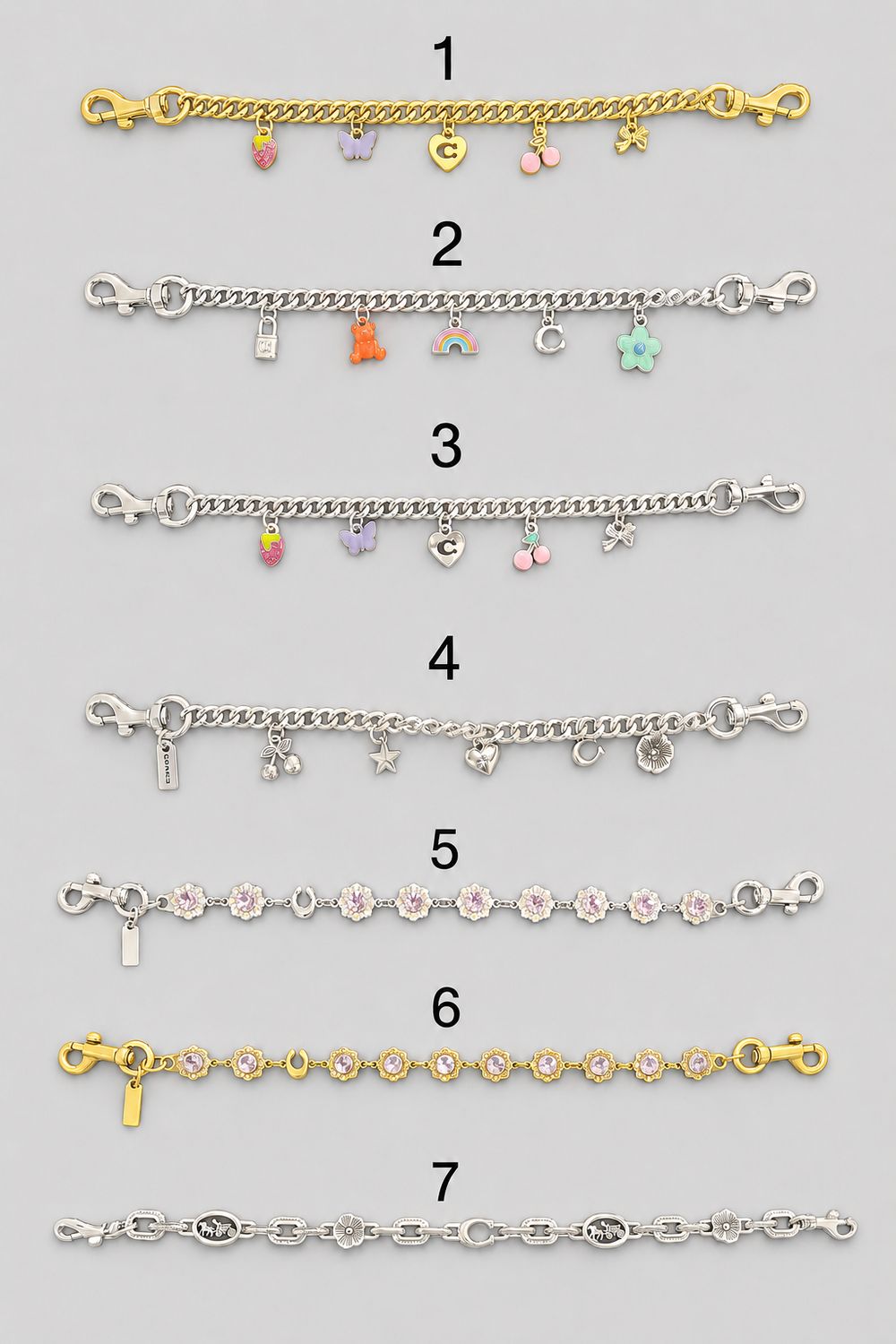 Premium Bag Chains