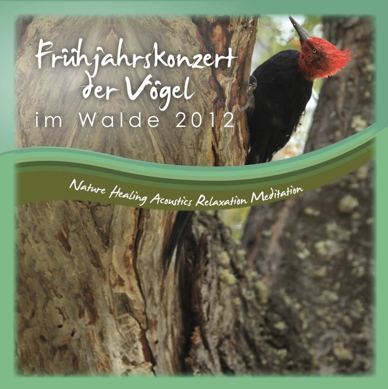 Frühjahrskonzert der Vögel im Walde 2012
