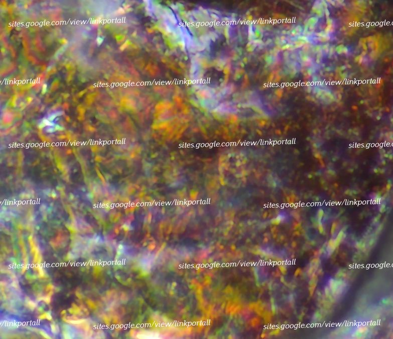 holographic Microscopy Picture