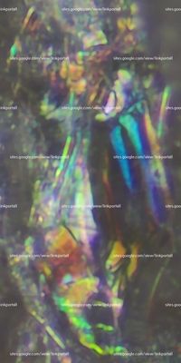 holographic Microscopy Picture