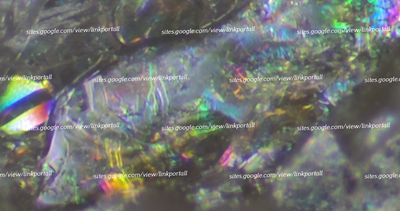 holographic Microscopy Picture