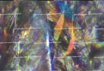 holographic Microscopy Picture