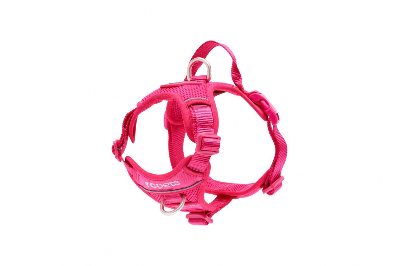 RC Pets - Momentum Harness Azalea, Size: Small