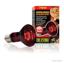 Exo Terra - Infrared  Basking Spot Lamp - R20