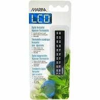 Marina Dolphin - Digital Horizontal Thermometer LCD