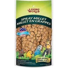 Living World - Spray Millet