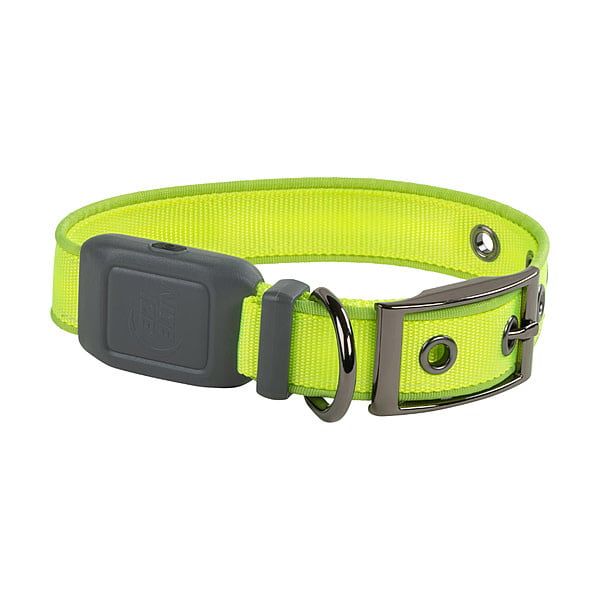Nite Ize - NiteDog Rechargeable LED Collar Lime