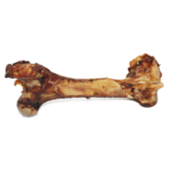 Open Range - Cured Dino Bone