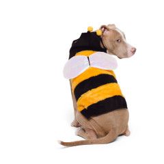 Show &amp; Tail - The Wanna-Bee