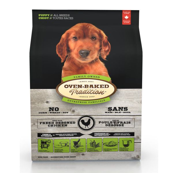 OBT -  Chicken Puppy