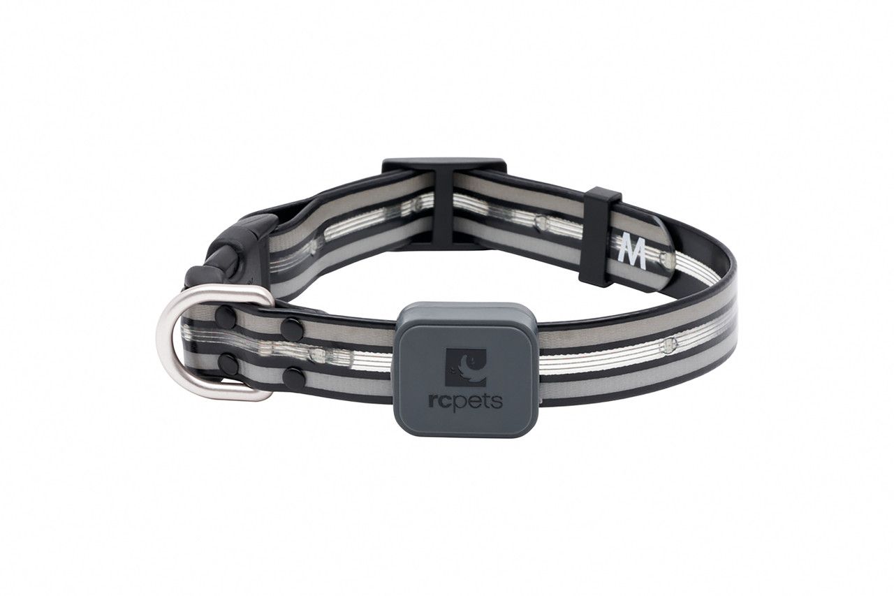 RC Pets - Nova LED Light Collar Black