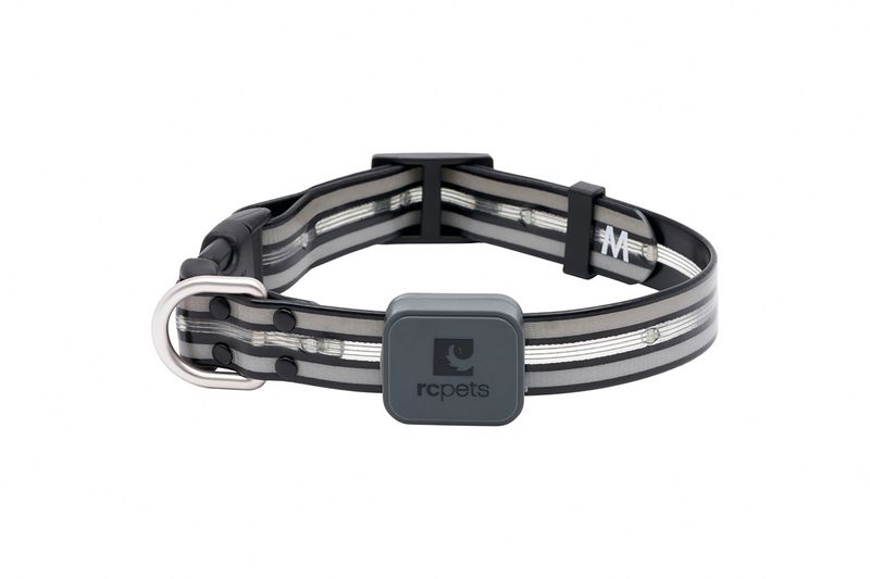 RC Pets - Nova LED Light Collar Black
