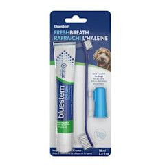 Bluestem - Vanilla Mint Flavour Oral Kit Dog
