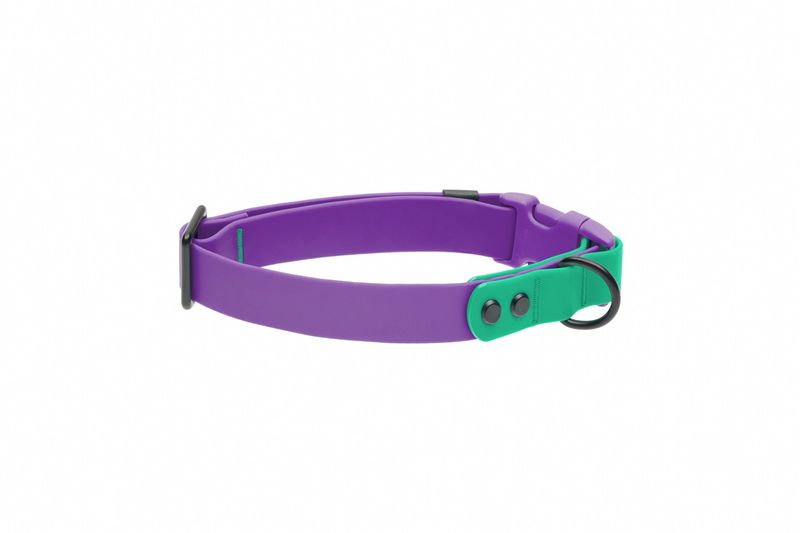 RC Pets - Waterproof Collar Purple/Parakeet