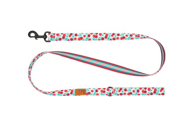 RC Pets - Eco Leash 1x5&#39;
