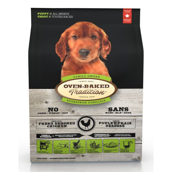 OBT -  Chicken Puppy