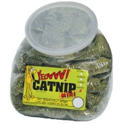 DW - Yeowww! Catnip MINI Bag 4g