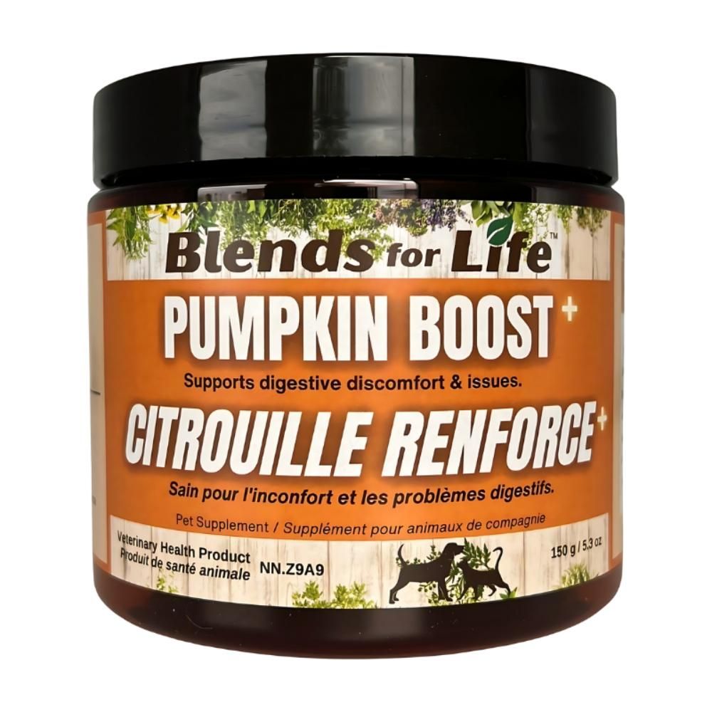 Blends for Life - Pumpkin Boost+ 150g