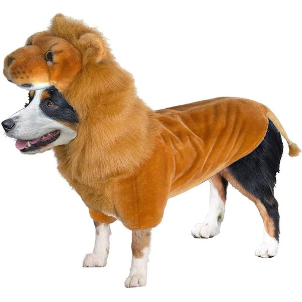 Amazing Pets - Wannabe Lion