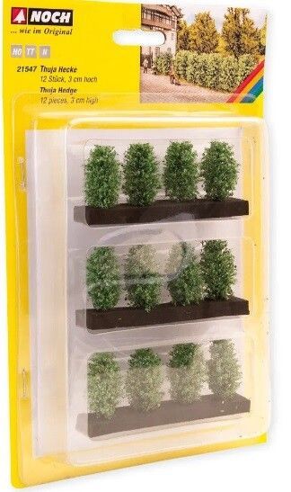 Noch 21547 - Thuja-Hecke