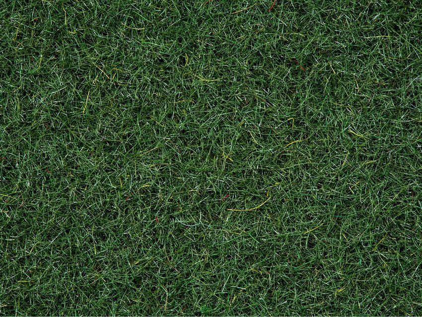 Noch 08320 - Streugras “Moorboden”