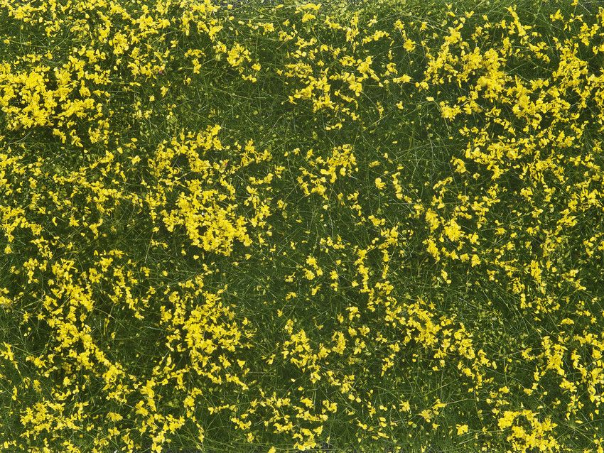 Noch 07255 - Bodendecker-Foliage Wiese gelb