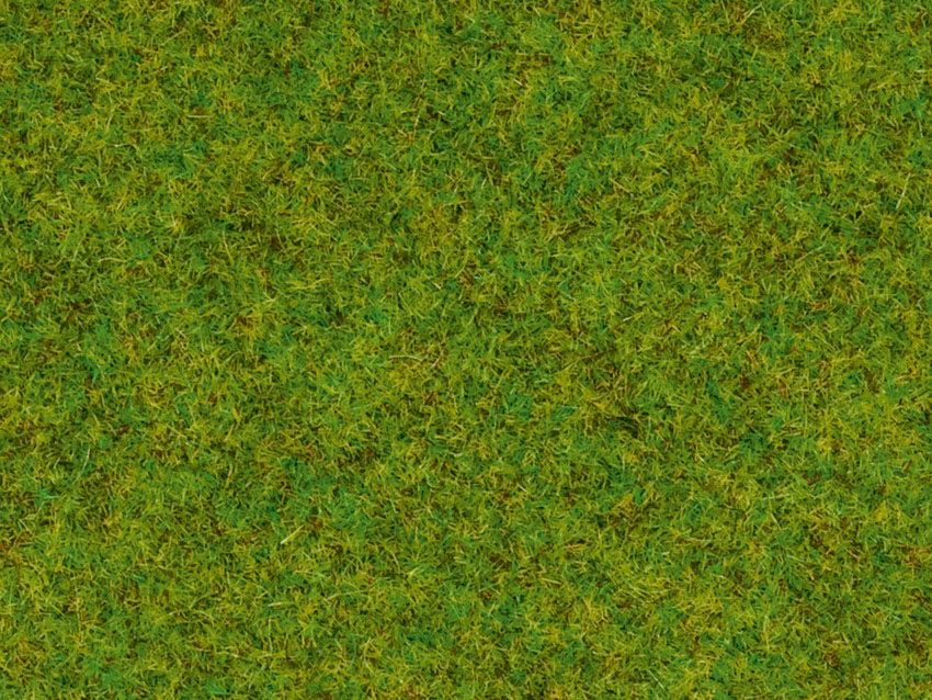 Noch 08200 - Streugras “Frühlingswiese”