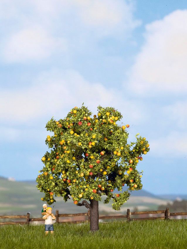 Noch 21560 - Apfelbaum mit Früchten